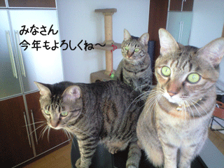 f0116546_07538.gif