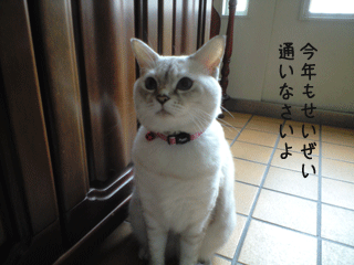 f0116546_082826.gif