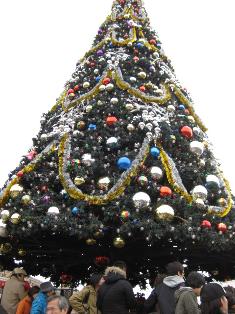 e0121548_1715389.jpg