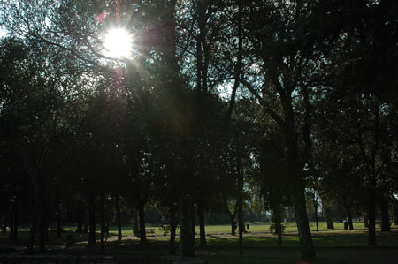 d0023951_0273644.jpg