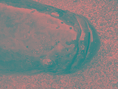 d0131551_1351265.jpg