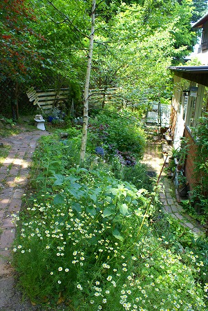 d0083761_1935676.jpg