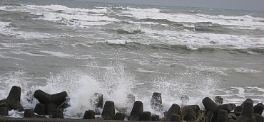 f0181663_12162135.jpg