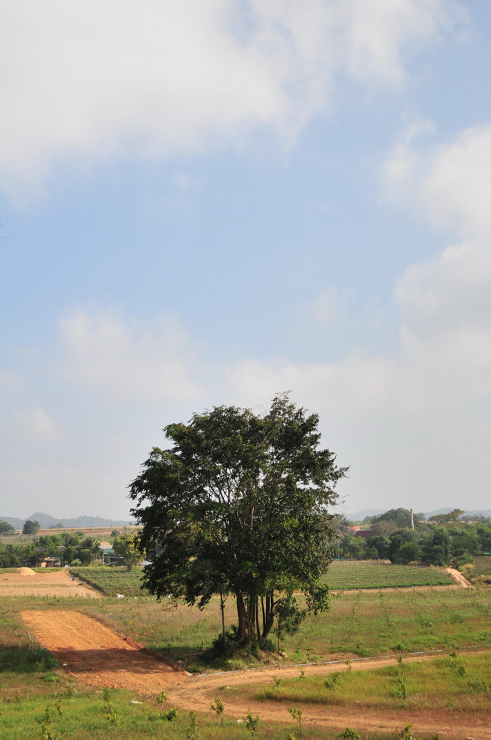 b0149365_0554861.jpg