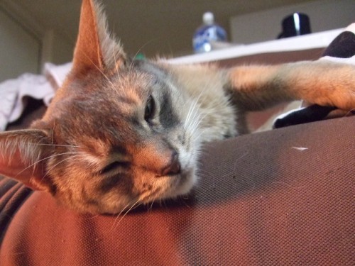 c0139765_130121.jpg