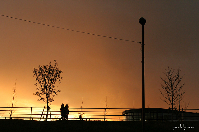 c0163369_1433433.jpg