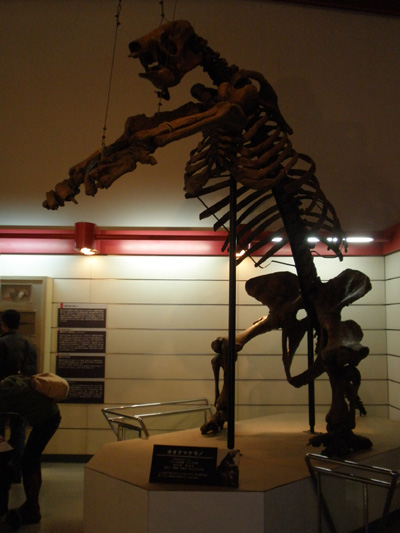 c0122670_0384330.jpg
