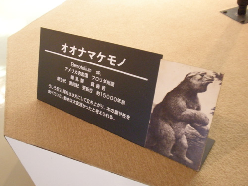c0122670_03905.jpg