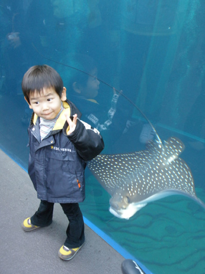 c0122670_1585340.jpg