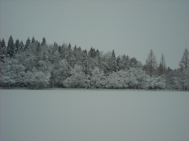 b0134278_10494363.jpg