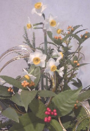 f0039281_17223999.jpg