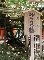c0105785_21105049.jpg