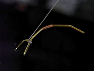 f0193485_20233352.jpg