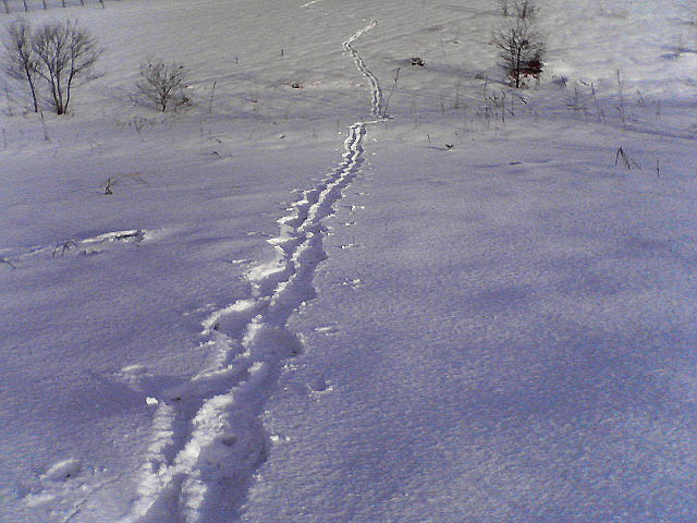 a0007388_10214865.jpg