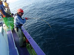 f0069890_332437.jpg