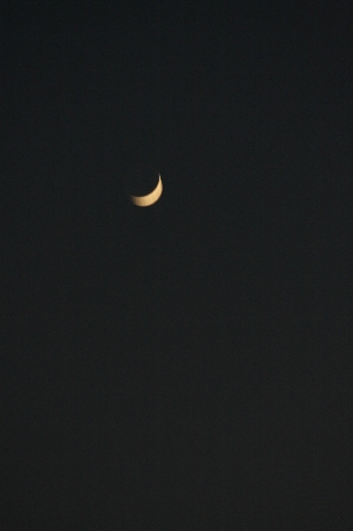 d0133693_2151686.jpg