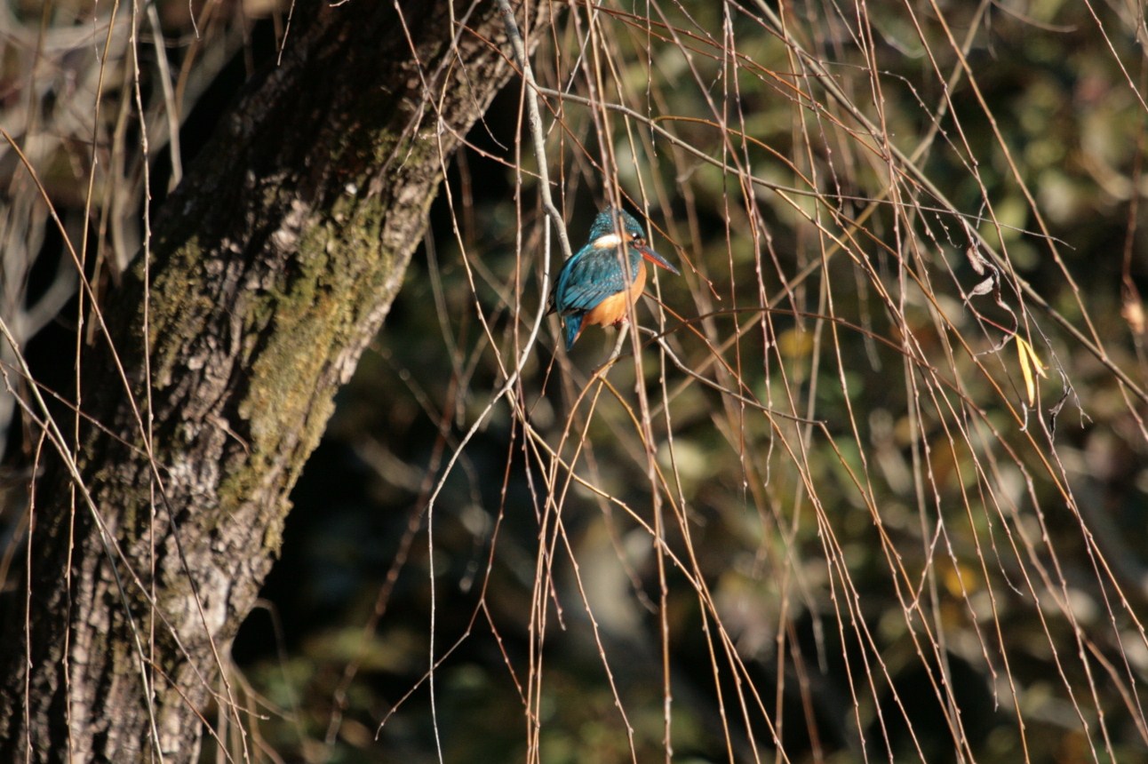 d0133693_2324915.jpg