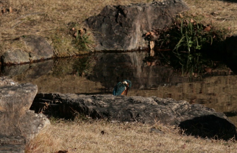 d0133693_233452.jpg