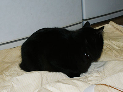 e0019594_23282580.jpg