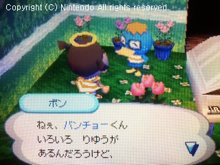 ボン