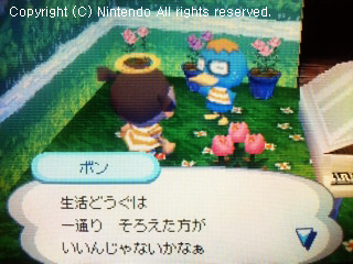 ボン
