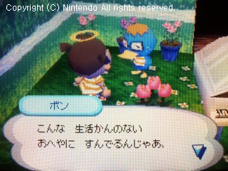 ボン