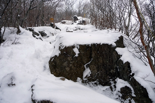 e0137200_18594550.jpg