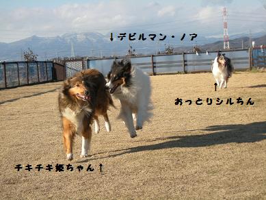 f0081100_024190.jpg