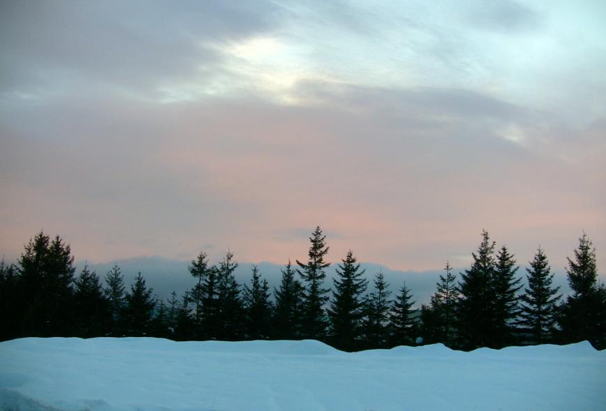 c0155902_2246289.jpg