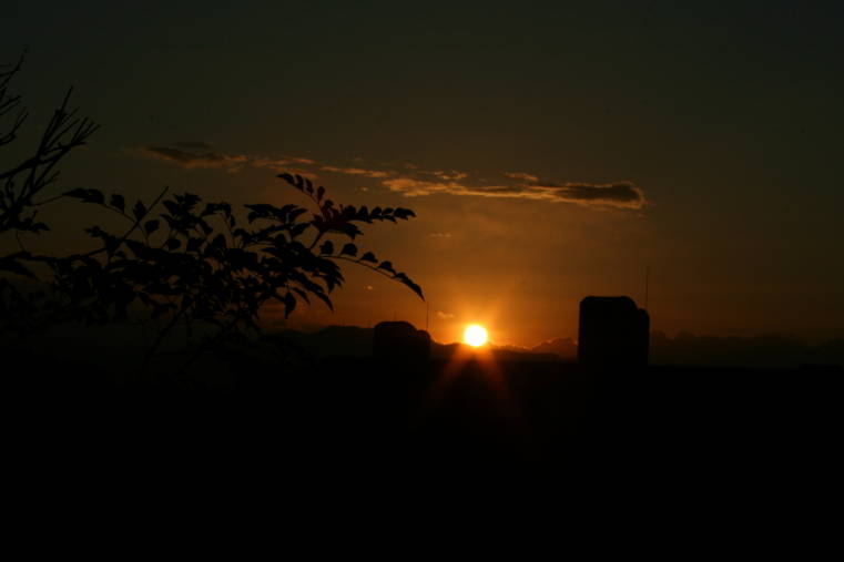 f0031304_93243.jpg