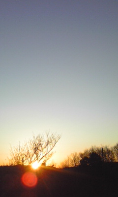 b0009206_20583734.jpg
