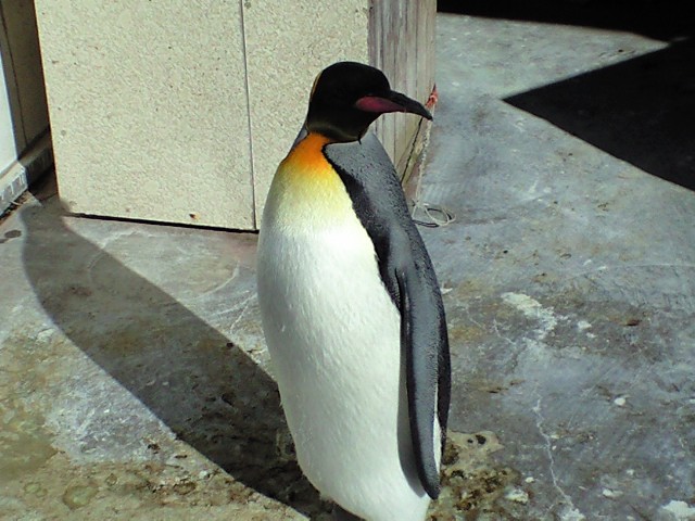b0076307_2227163.jpg