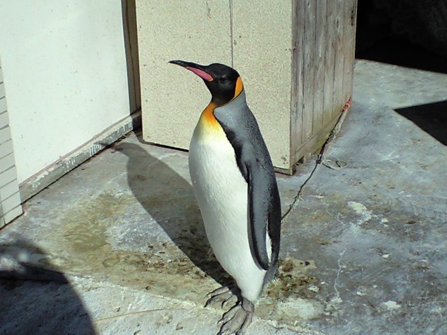 b0076307_2227171.jpg