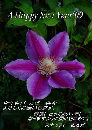 d0001008_8425049.jpg