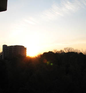 e0139012_847378.jpg