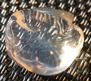 e0139012_8494212.jpg