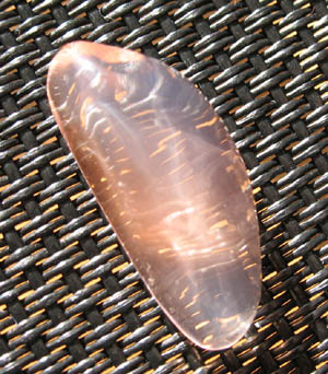 e0139012_8533426.jpg