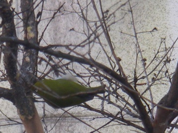 f0133814_15373073.jpg