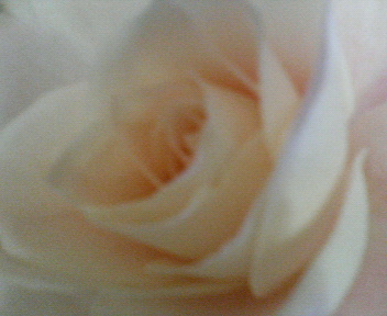f0036223_0463992.jpg