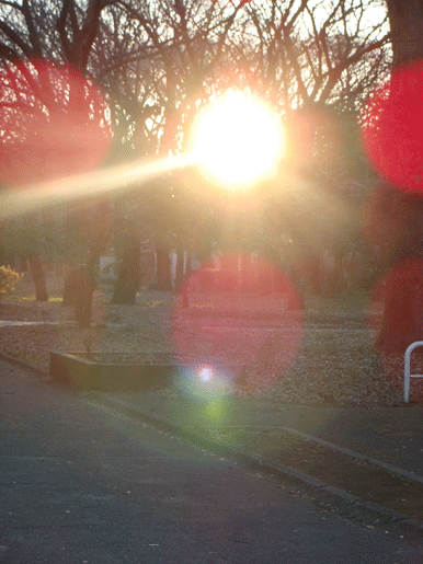 d0002224_8314229.gif