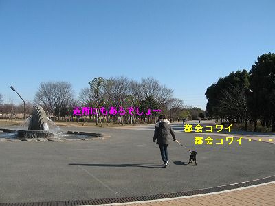 e0162524_23301089.jpg