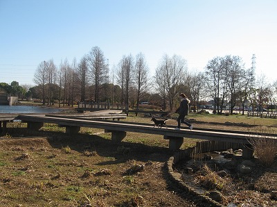 e0162524_2333232.jpg