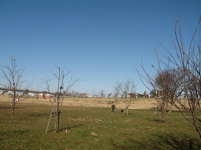 e0162524_23333421.jpg
