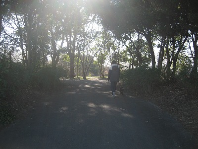 e0162524_23384062.jpg