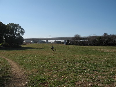 e0162524_2339061.jpg