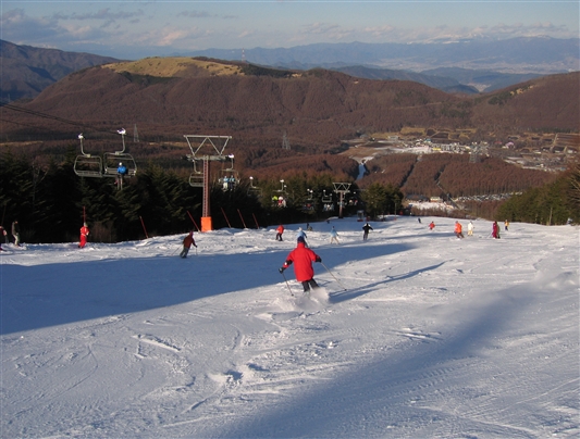f0040525_1640971.jpg