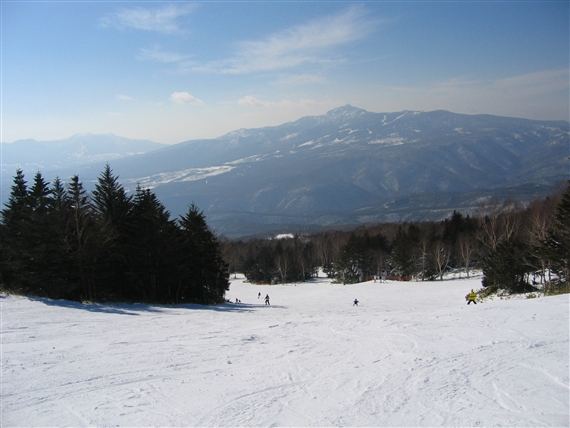 f0040525_1645281.jpg