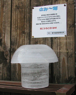 d0046531_1629189.jpg