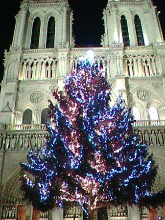 e0106231_2583524.jpg