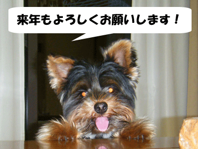 f0008935_244593.gif